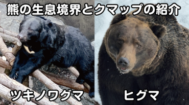 コラム投稿のお知らせ